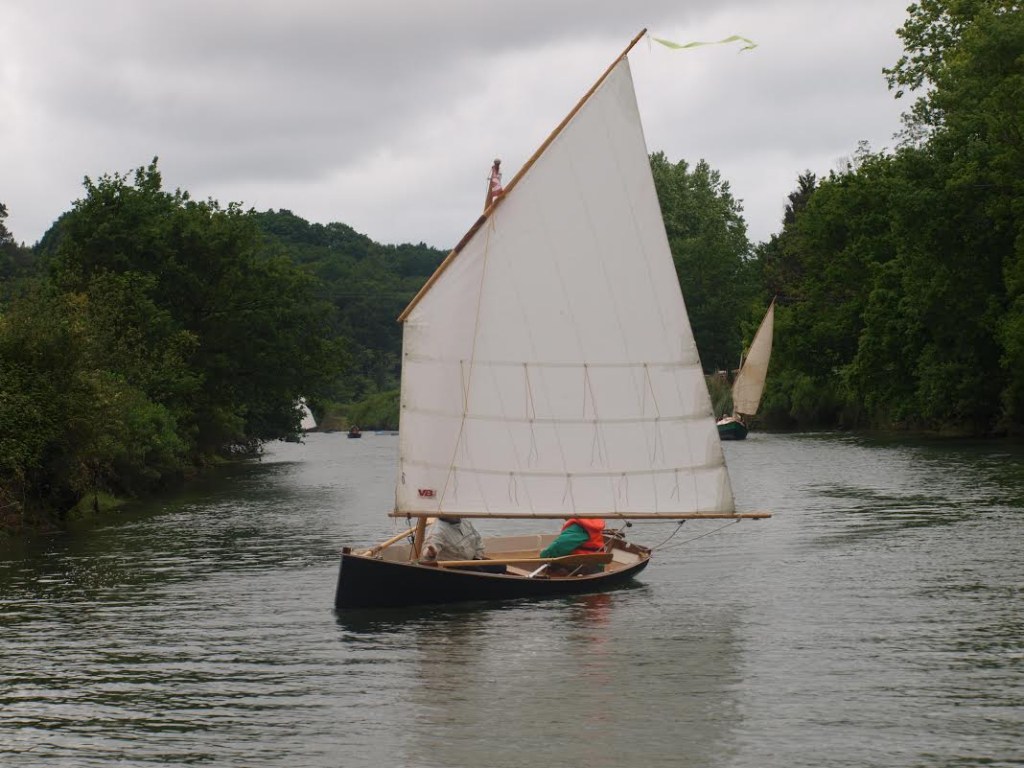 Beau merle sur la Nivelle 2015