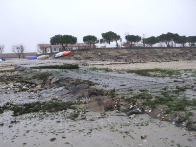 Cale Felix Faure La Flotte en Ré