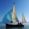 Fleur d orient au spinnaker 2