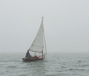 Img 20250223 121034 576