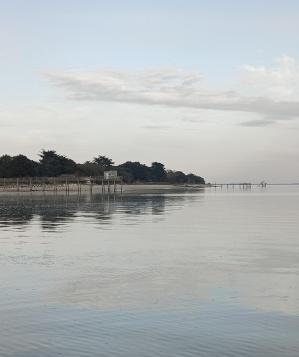Img 20250304 174249 348