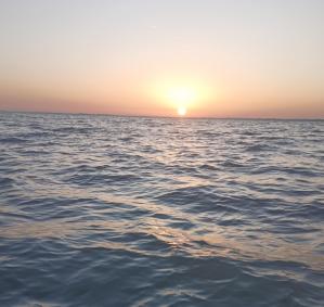 Img 20250305 074240 433