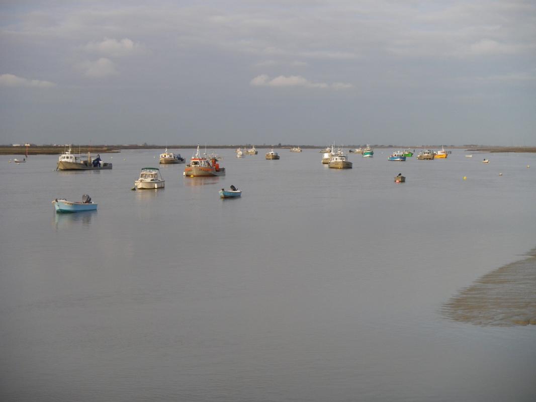 Mouillage mytiliculteurs au pave de charron