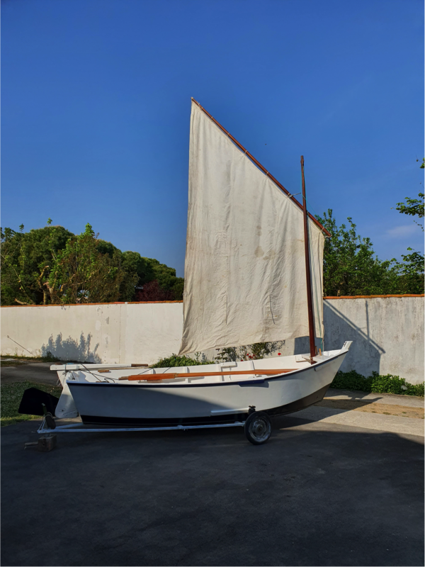 Pointe d ail