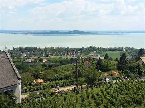 Vignes Lac Balaton